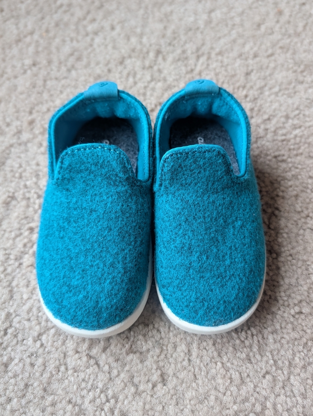 Allbirds Toddler Wool Shoes in Teal Blue